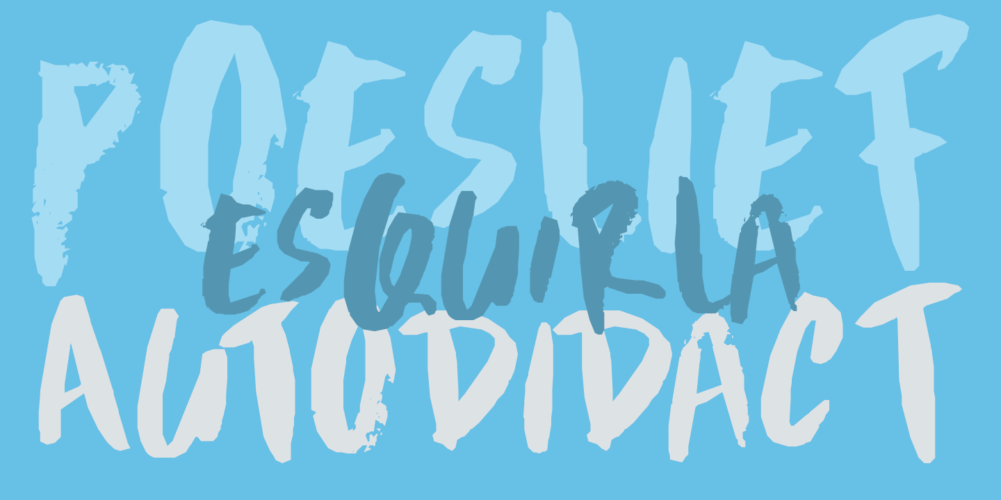 Scrawny Cat Font Poster #1