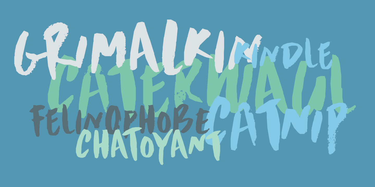 Scrawny Cat Font Poster #1