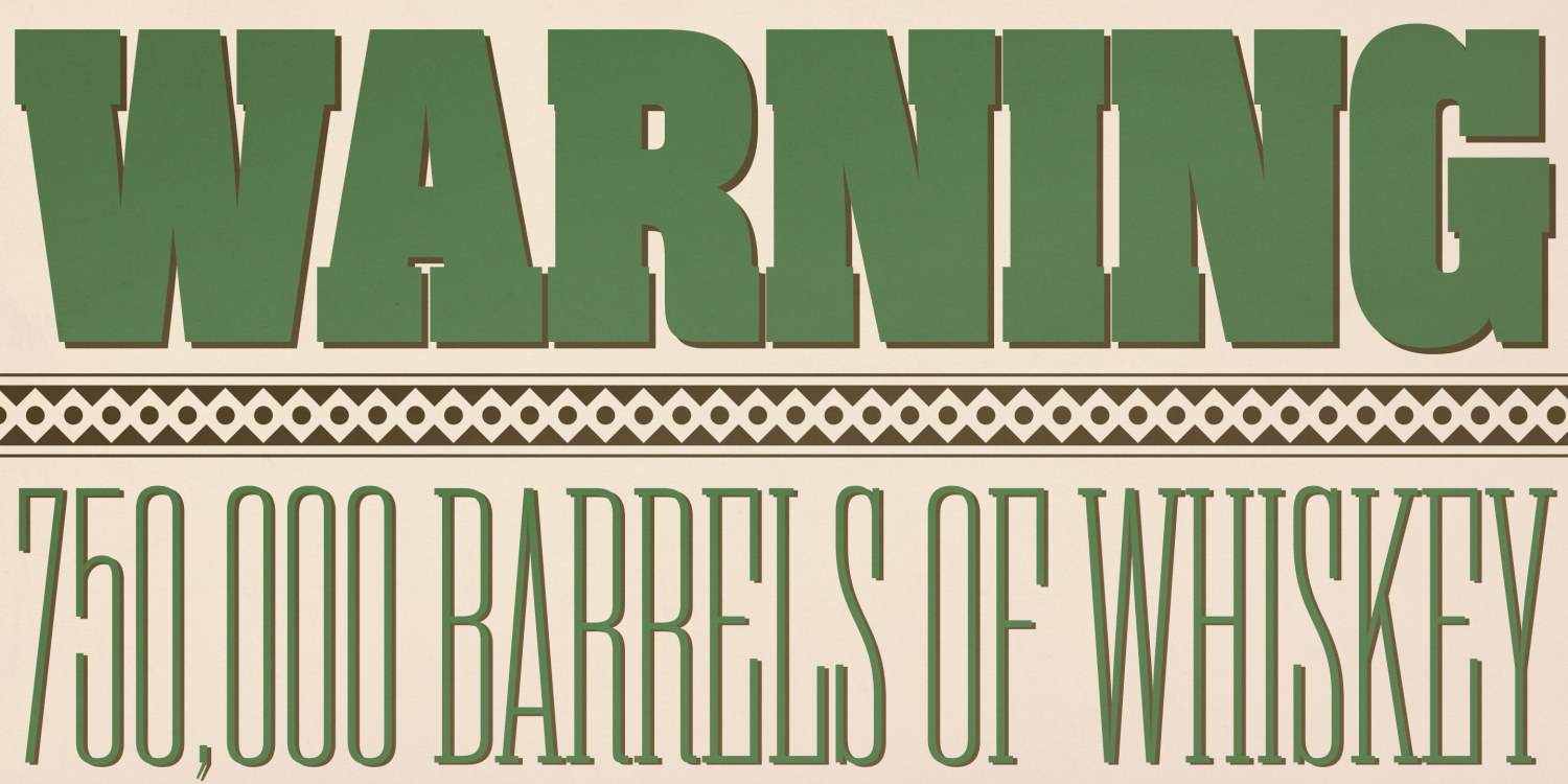 Rama Slab M Font Poster #10