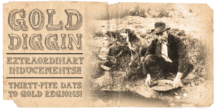 Gold Diggin Poster
