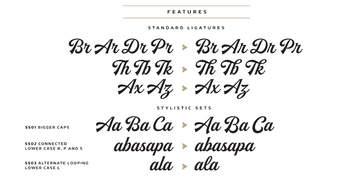 Buinton Regular Font Poster #1