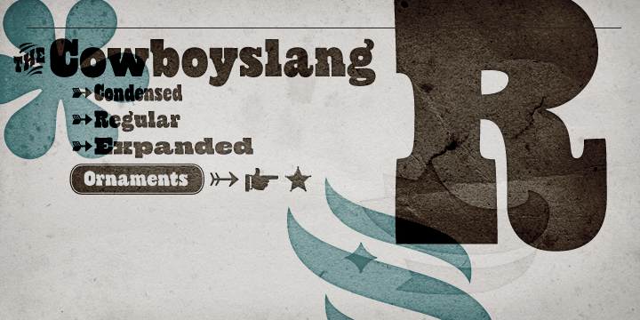 Cowboyslang Font Poster #1