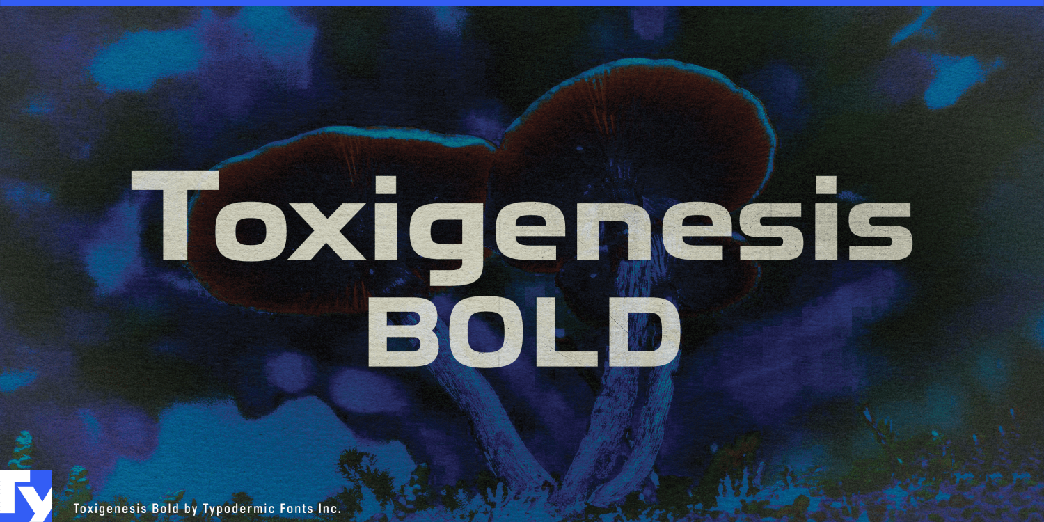 Toxigenesis Bd Font Poster #1
