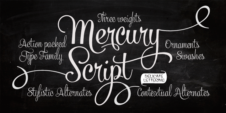 Mercury Script Font Family Poster