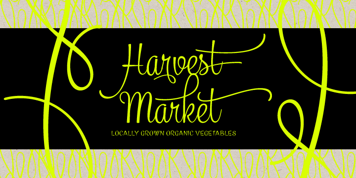 Mercury Script Font Poster #1