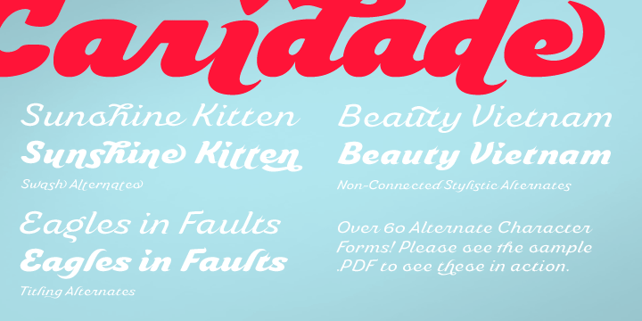 Caridade Font Poster #3