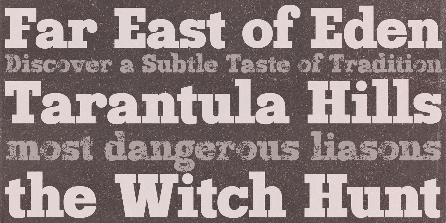 Clarity Font Poster #1