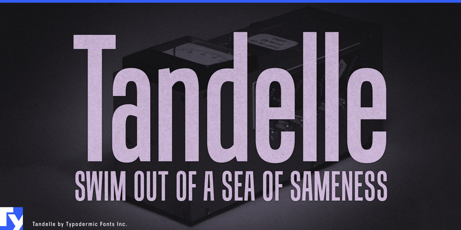 Tandelle Font Poster #1