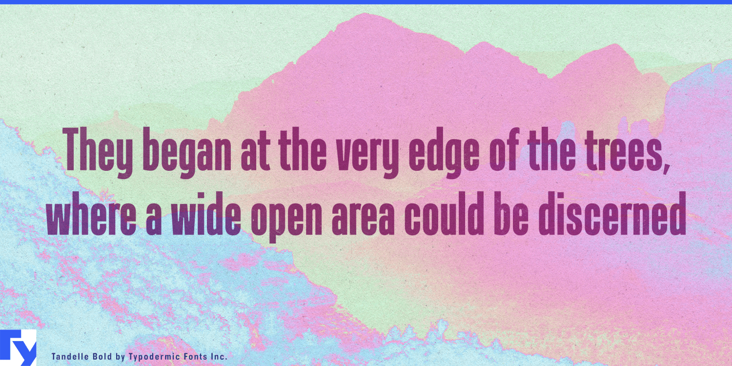 Tandelle Font Poster #1