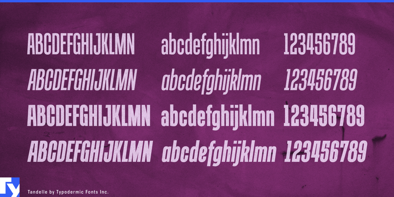 Tandelle Font Poster #1