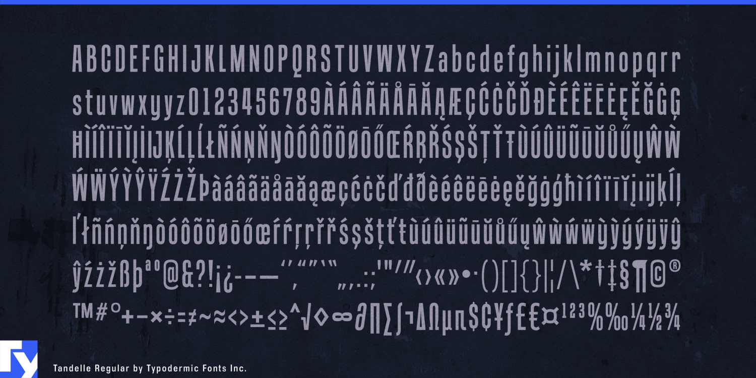 Tandelle Font Poster #1