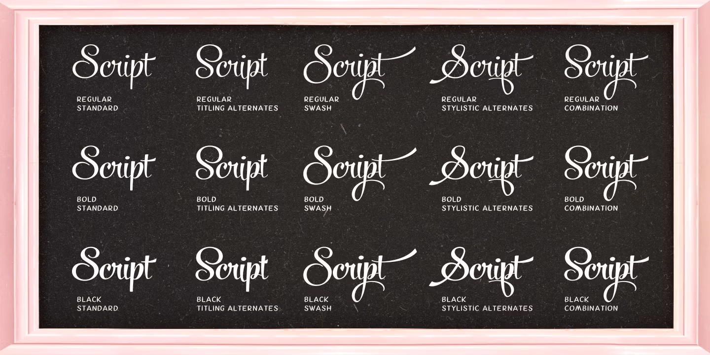 Powder Script Font Poster #1