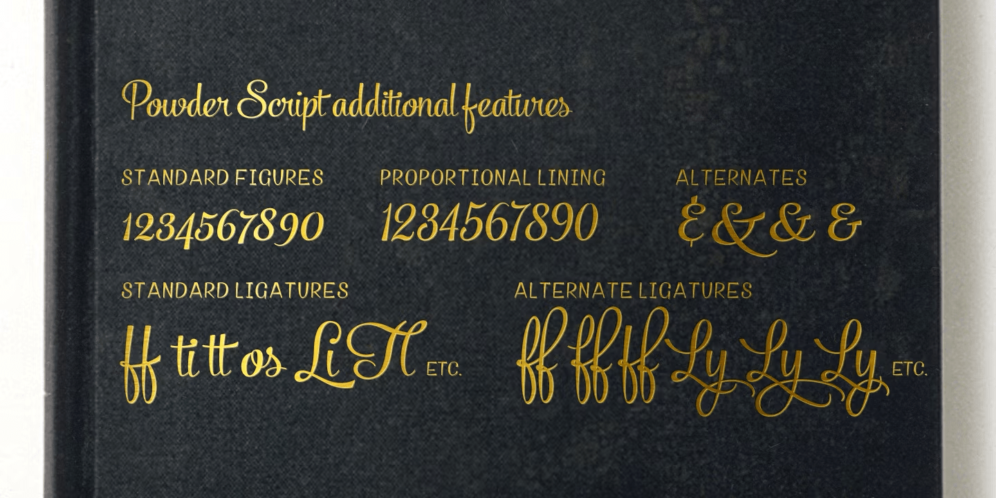 Powder Script Font Poster #1