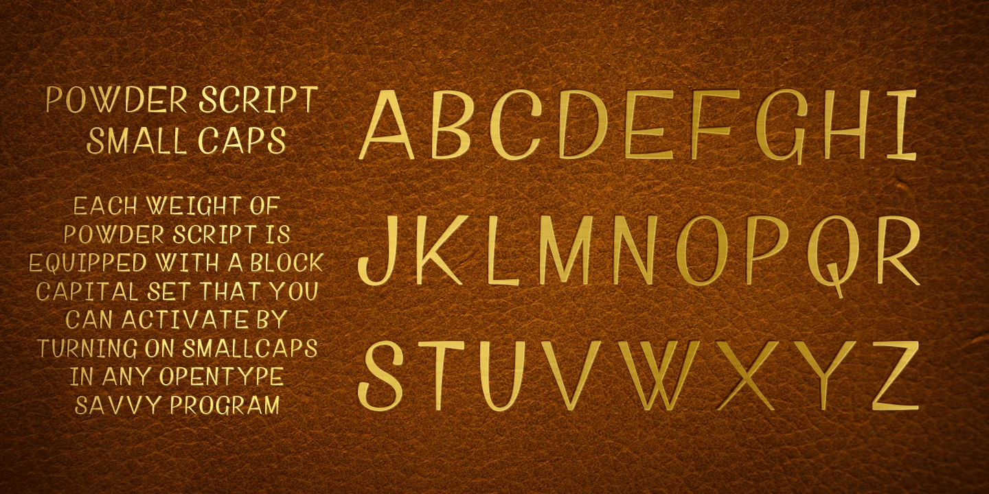 Powder Script Font Poster #1