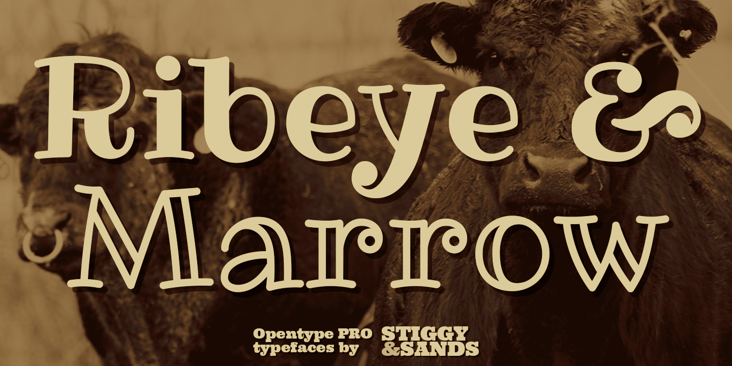 Ribeye Pro Font Poster #1