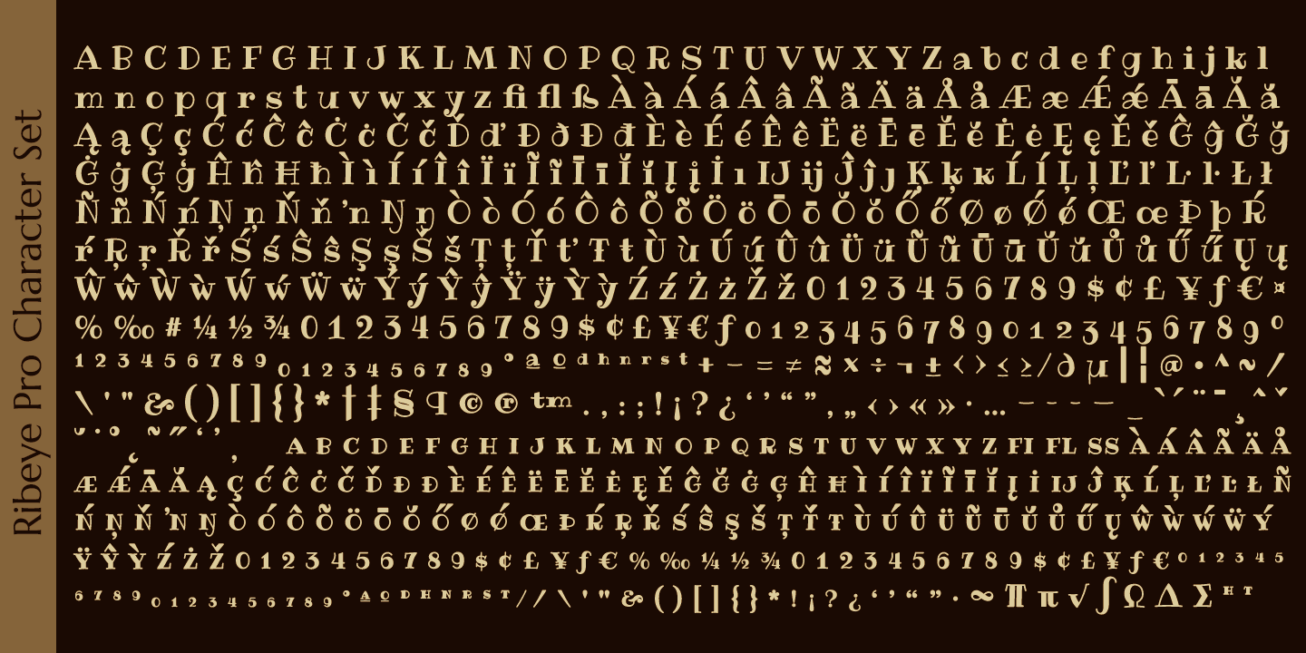 Ribeye Pro Font Poster #1