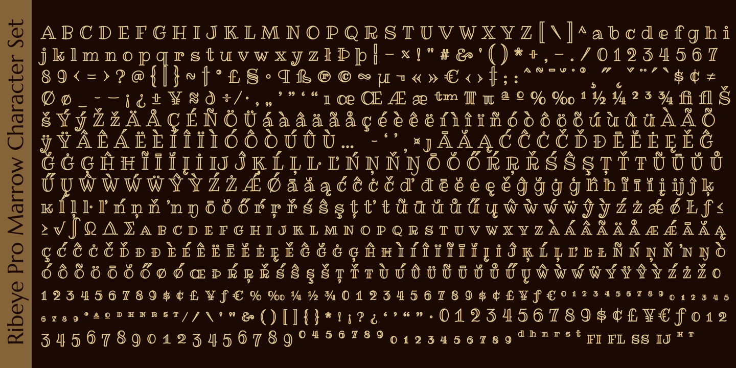 Ribeye Pro Font Poster #1
