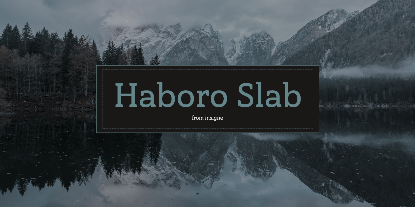 Haboro Slab Font Poster #1