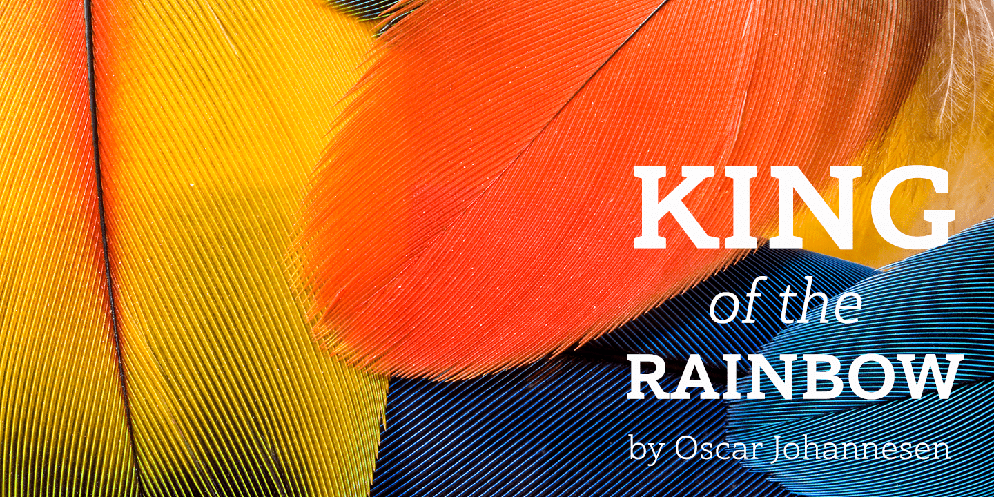 Haboro Slab Font Poster #1