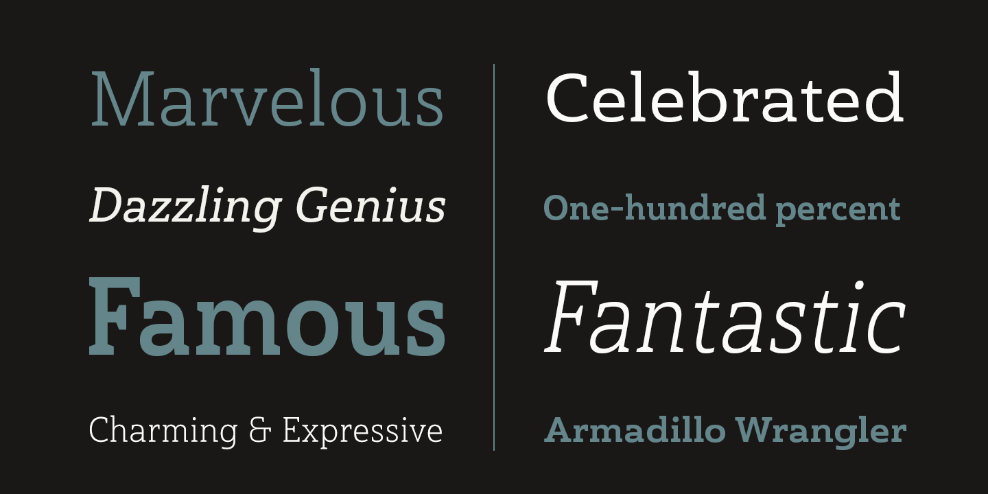 Haboro Slab Font Poster #1