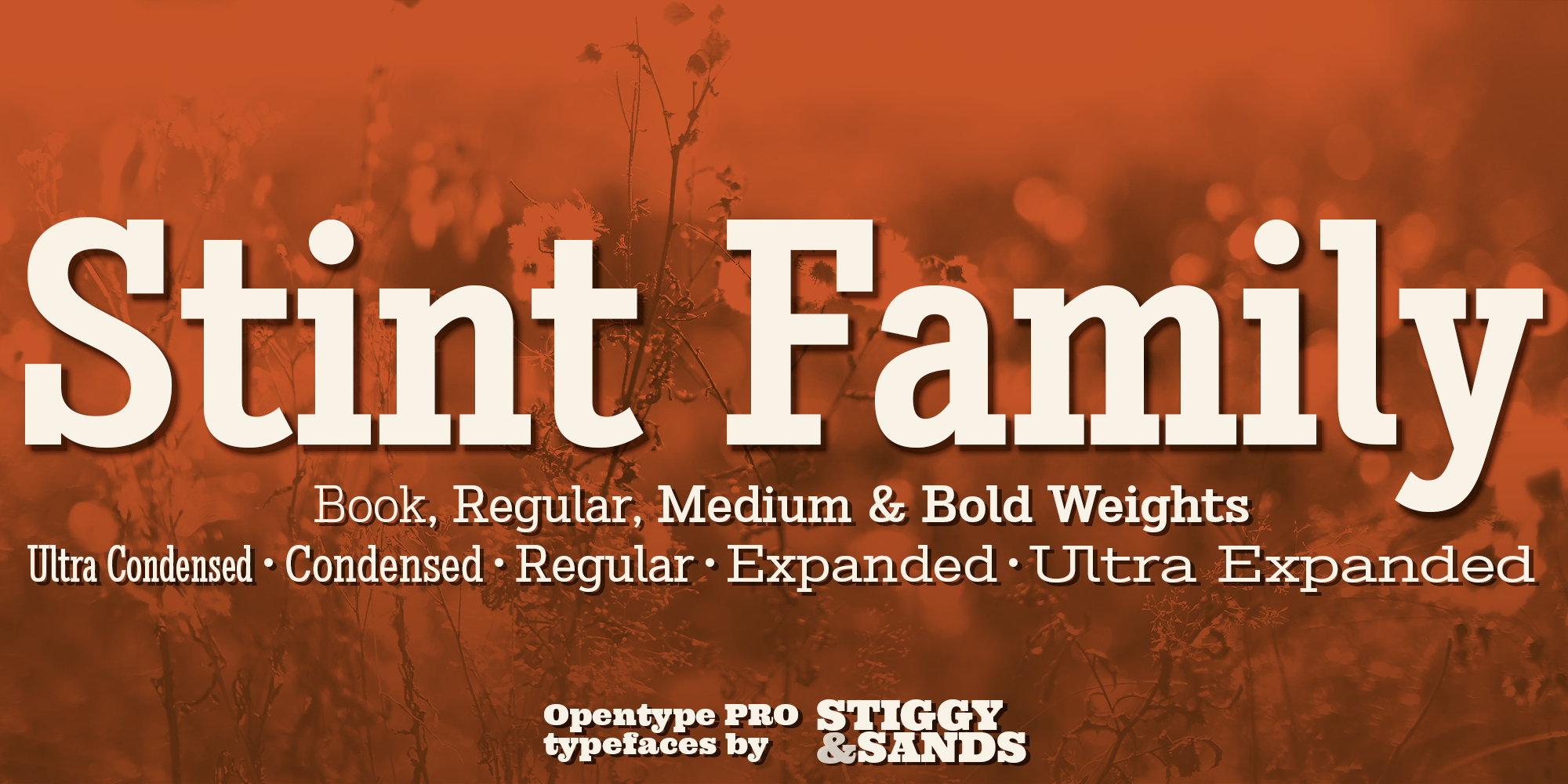 Stint Pro Font Poster #1