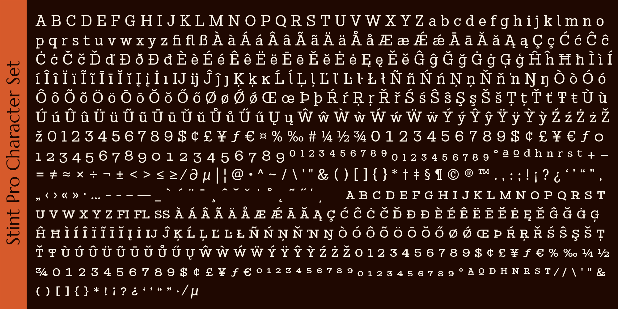 Stint Pro Font Poster #1