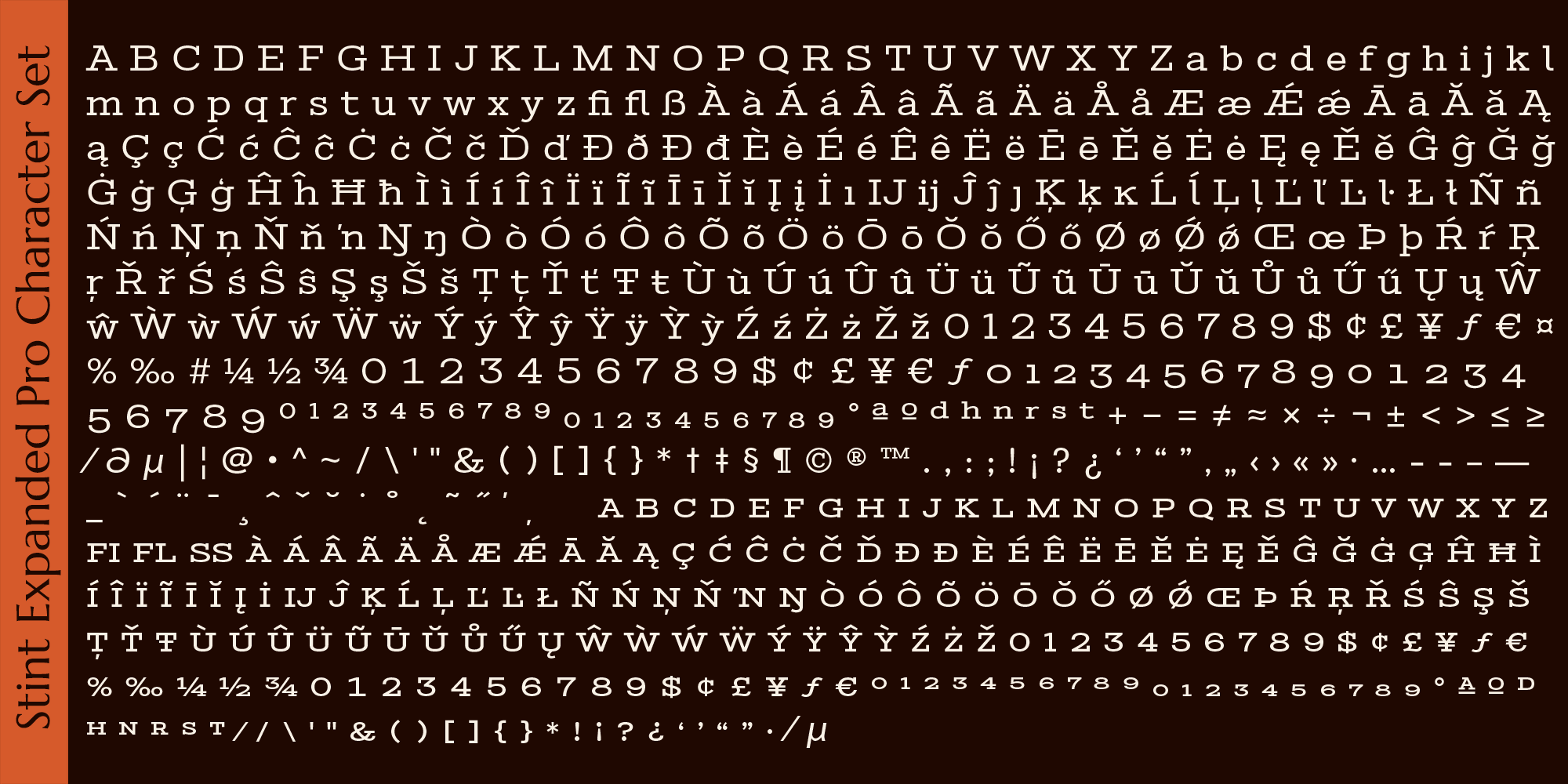 Stint Pro Font Poster #1