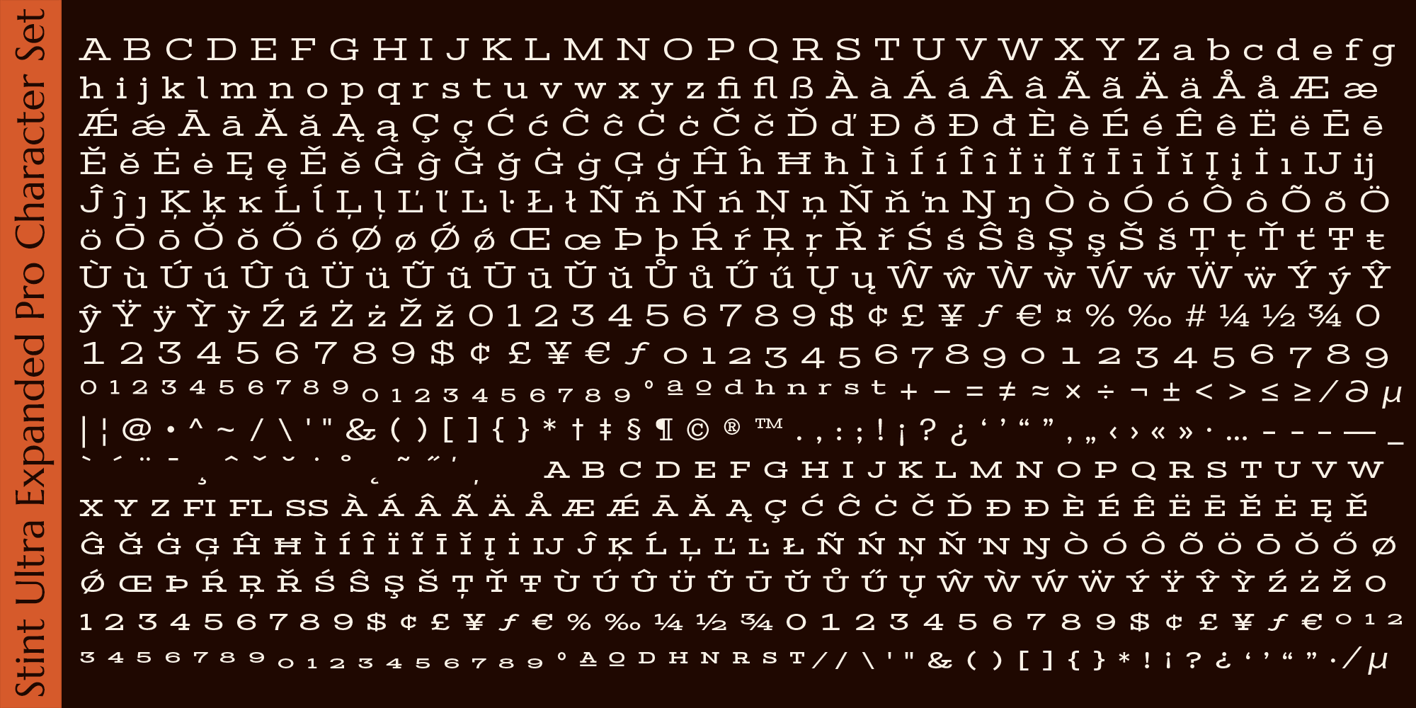 Stint Pro Font Poster #1