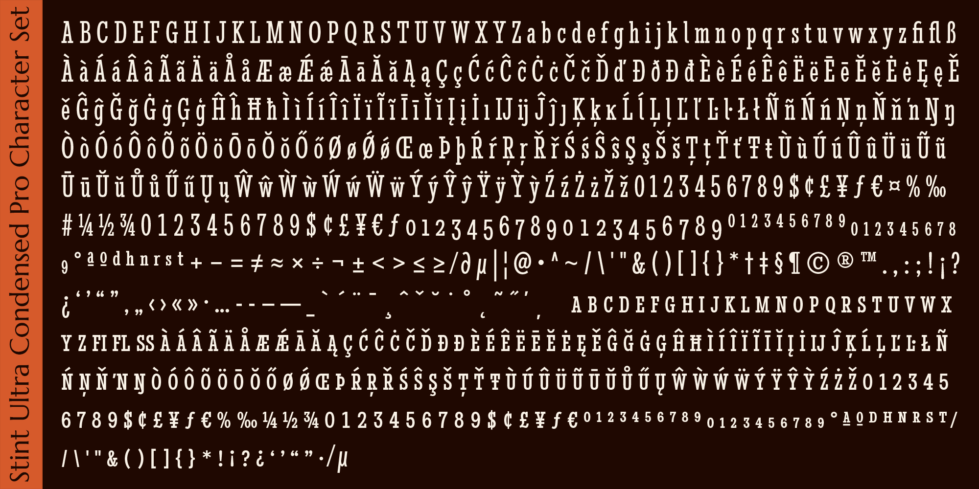 Stint Pro Font Poster #1