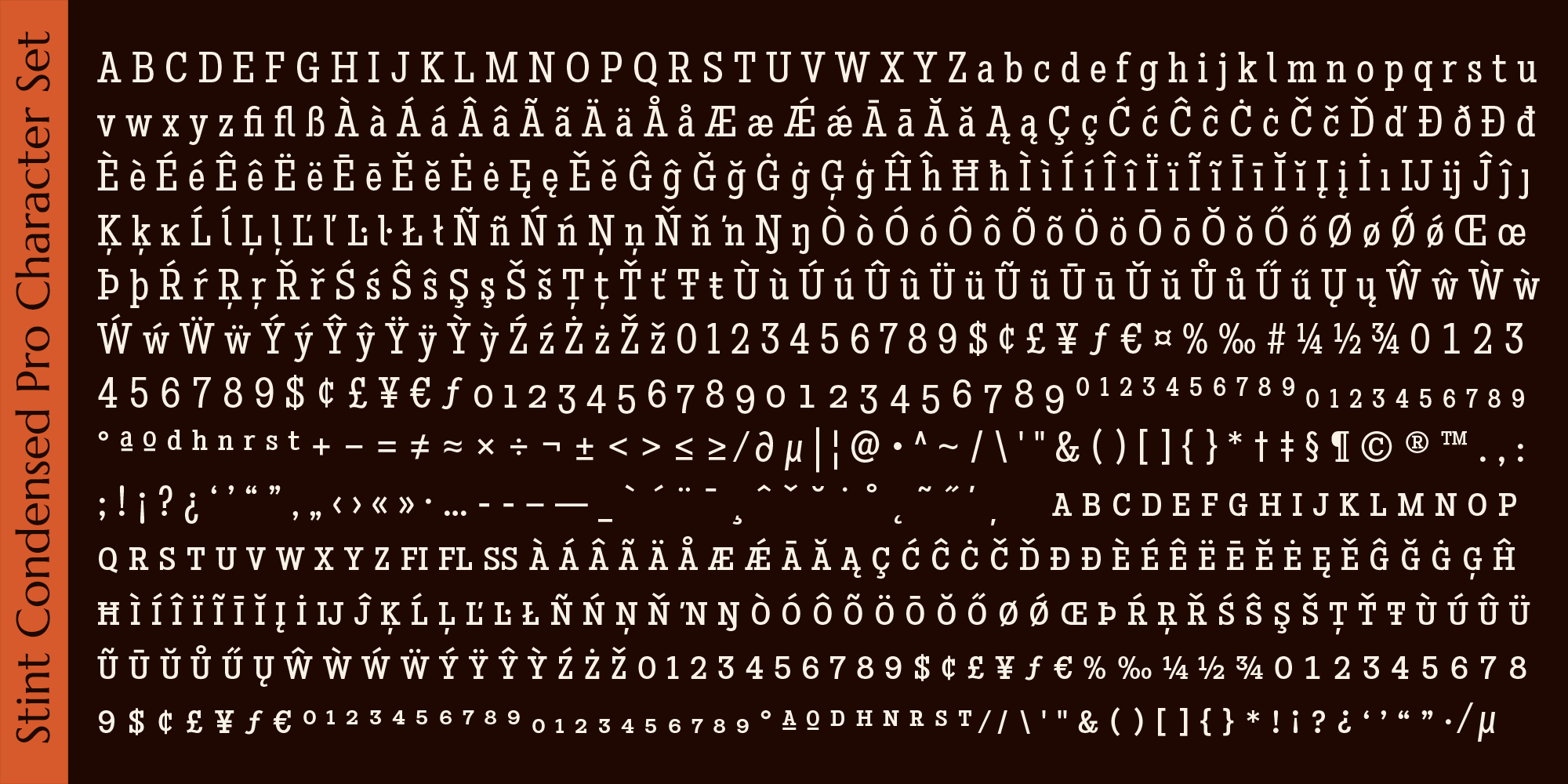 Stint Pro Font Poster #1