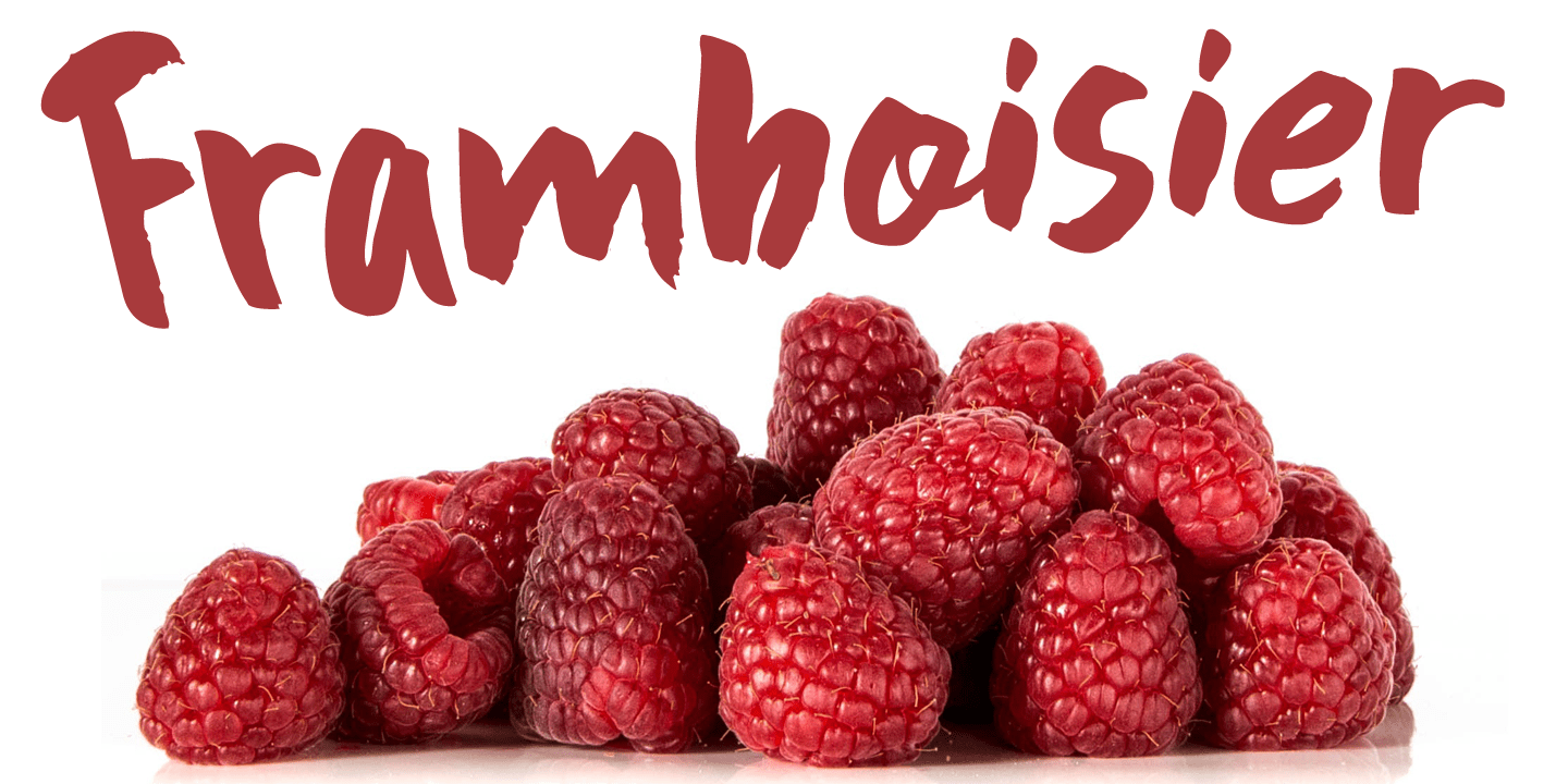 Framboisier Font Poster #1