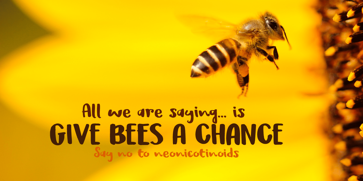 Honeyguide Font Poster #1