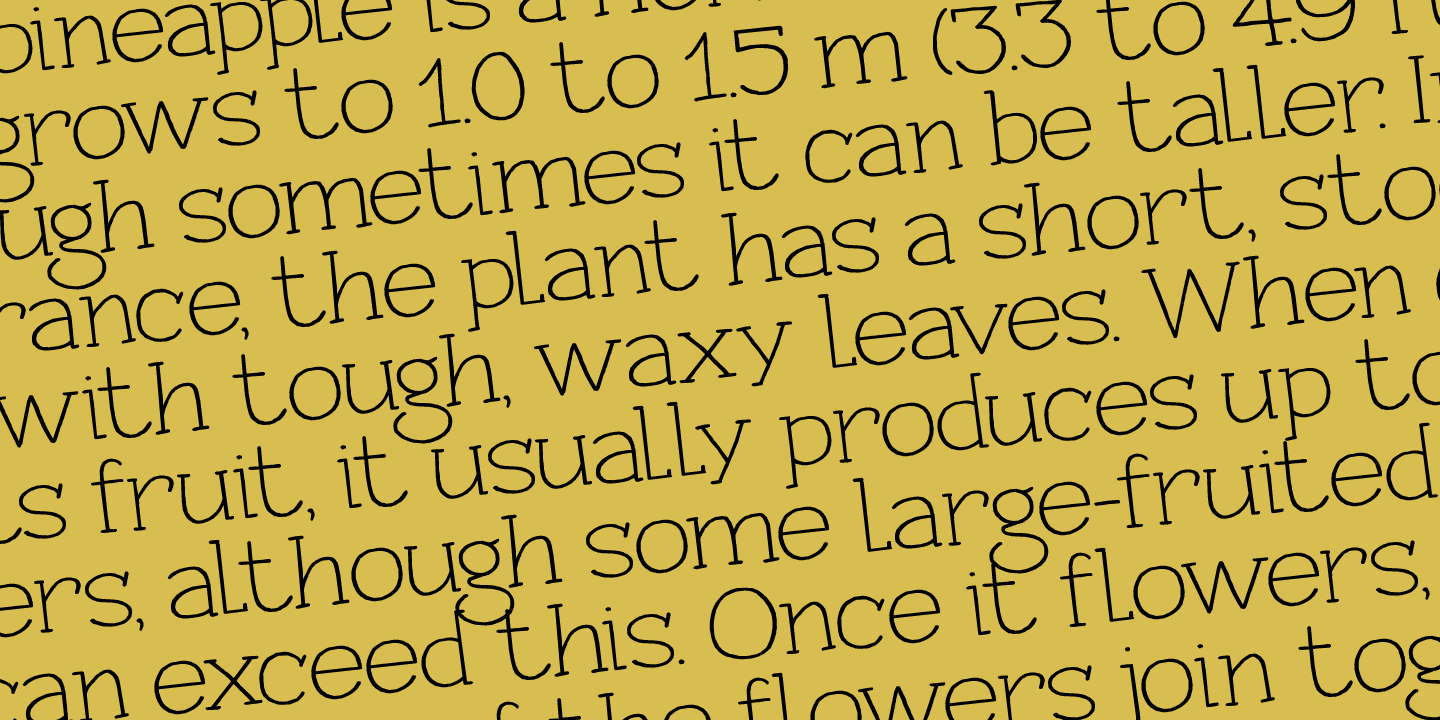 Pineapple Daydream Font Poster #1