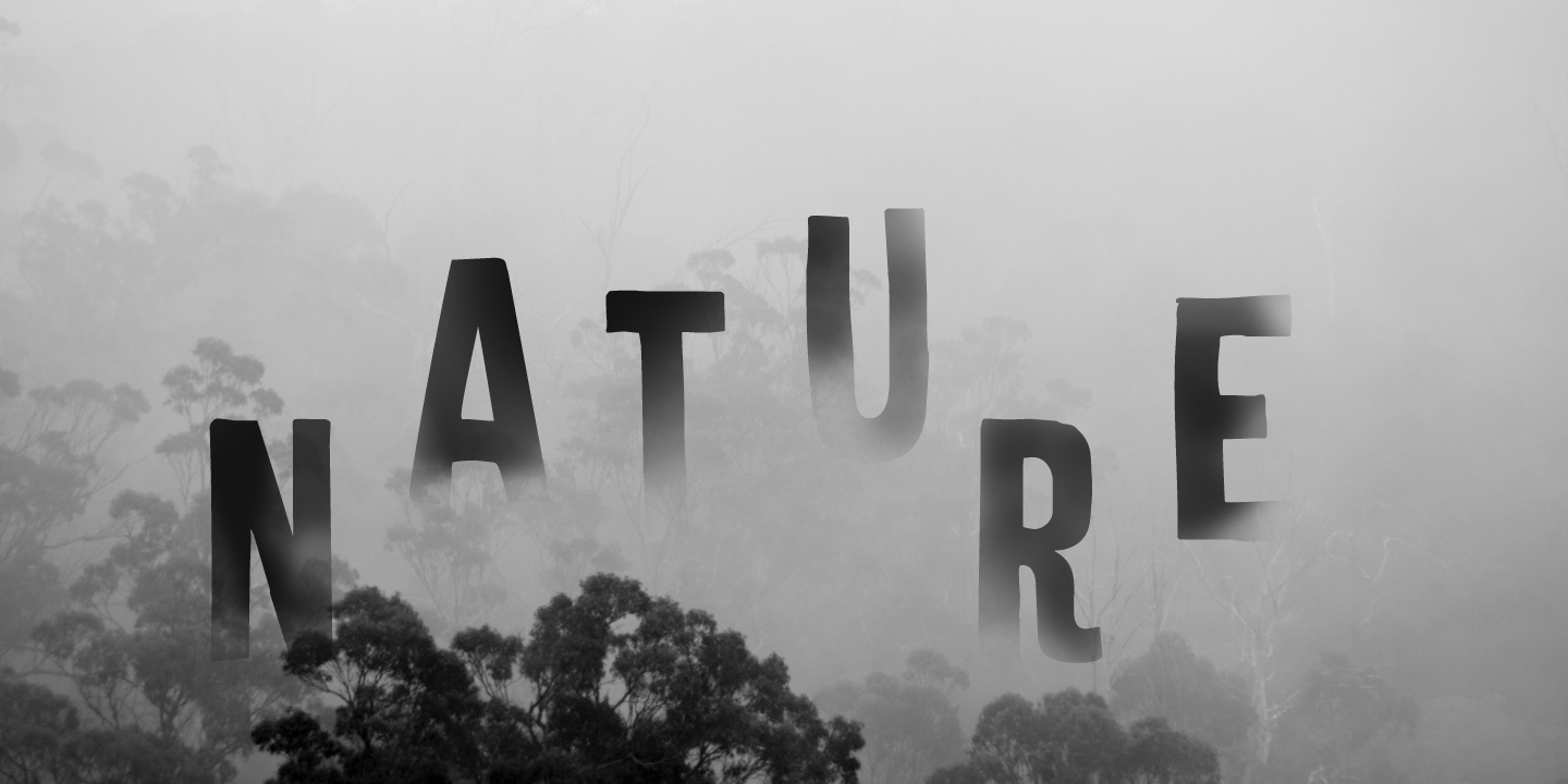 Silent Echo Font Poster #1