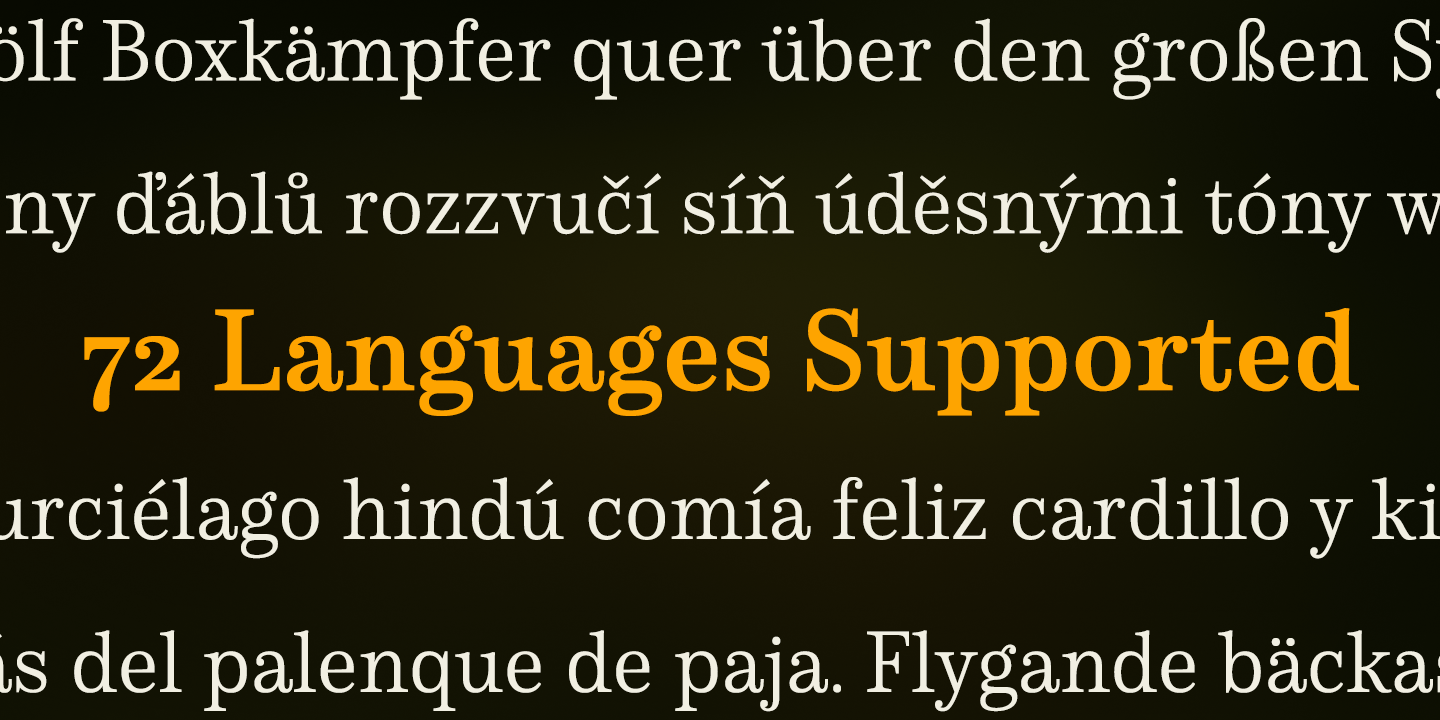 Schorel Font Poster #1