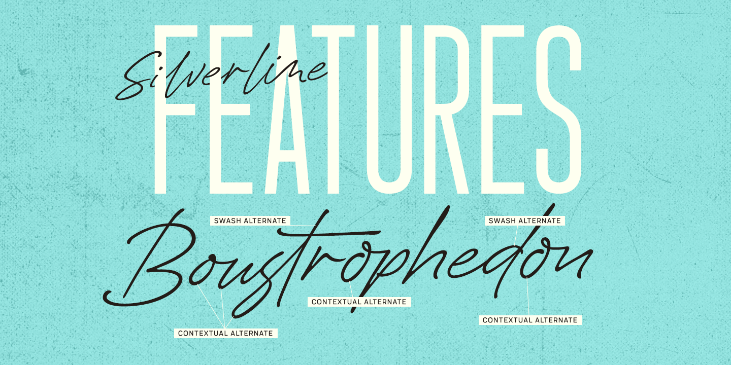 Silverline Font Poster #1