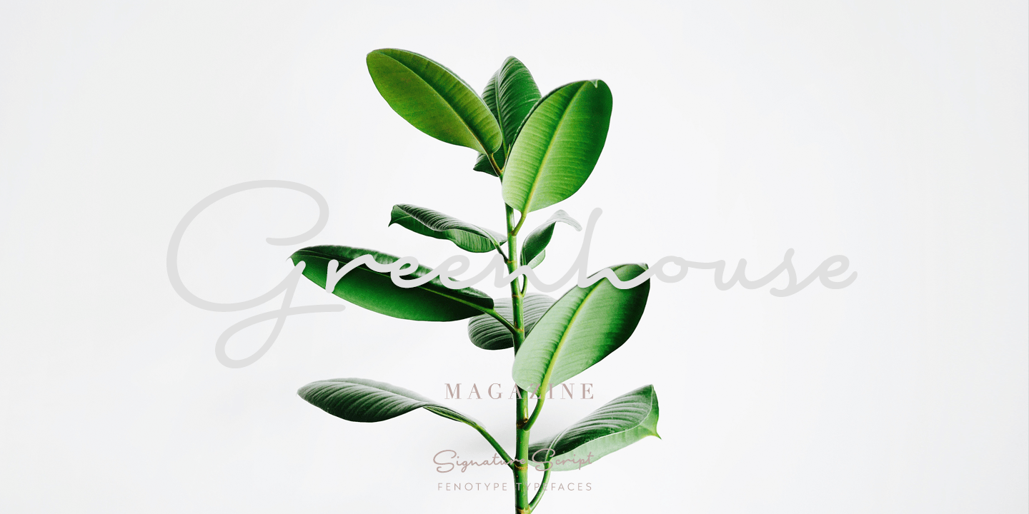 Signature Script Fenotype Font Poster #1