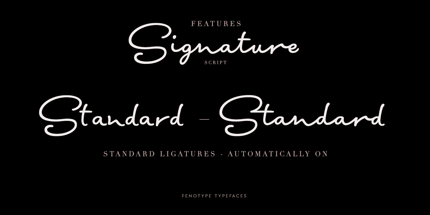 Signature Script Fenotype Font Poster #1