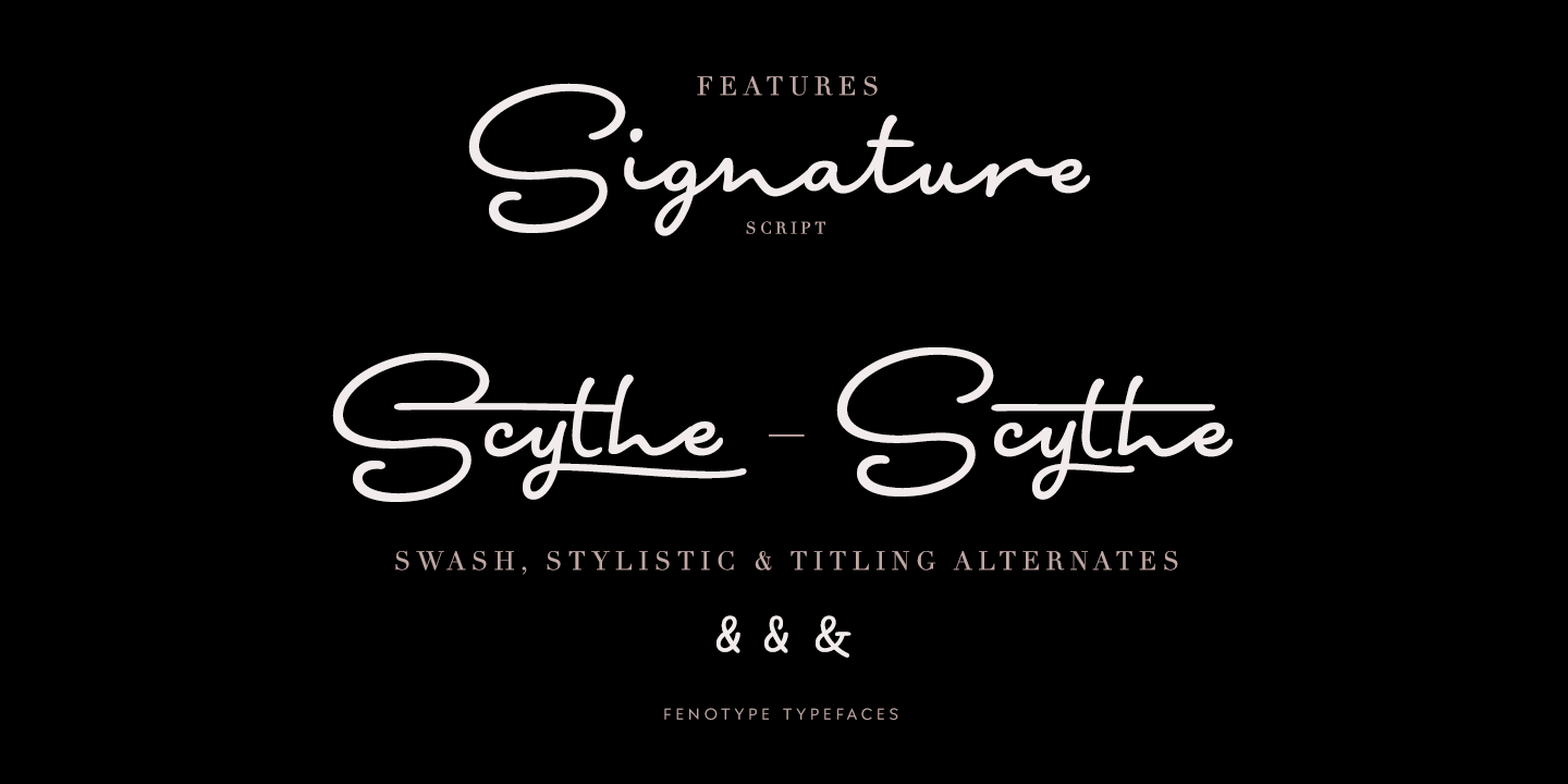 Signature Script Fenotype Font Poster #1