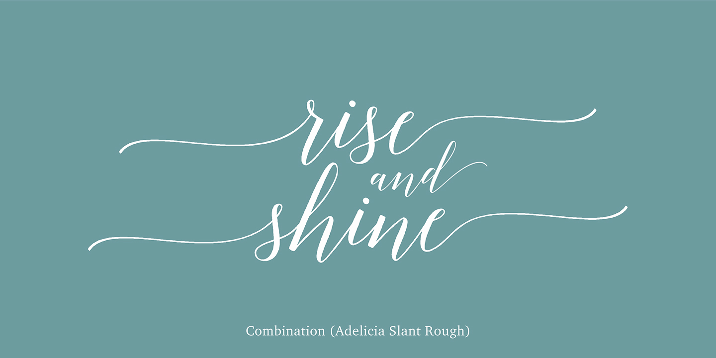 Adelicia Script Font Poster #1