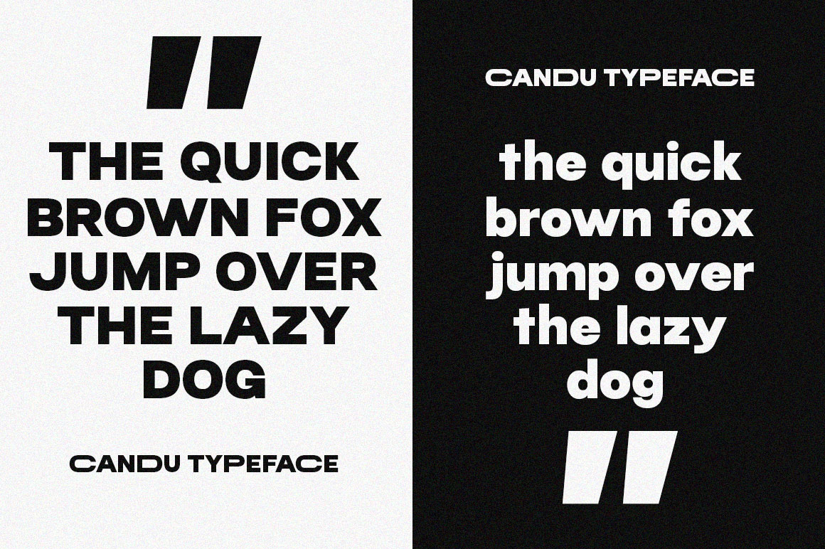 Candu Font Poster #1
