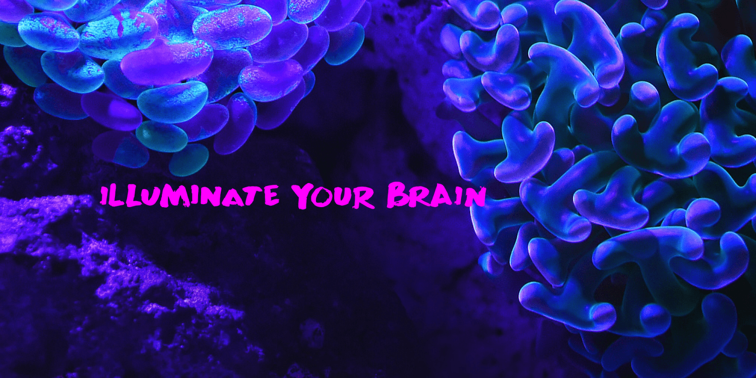 Brain Squeeze Font Poster #1