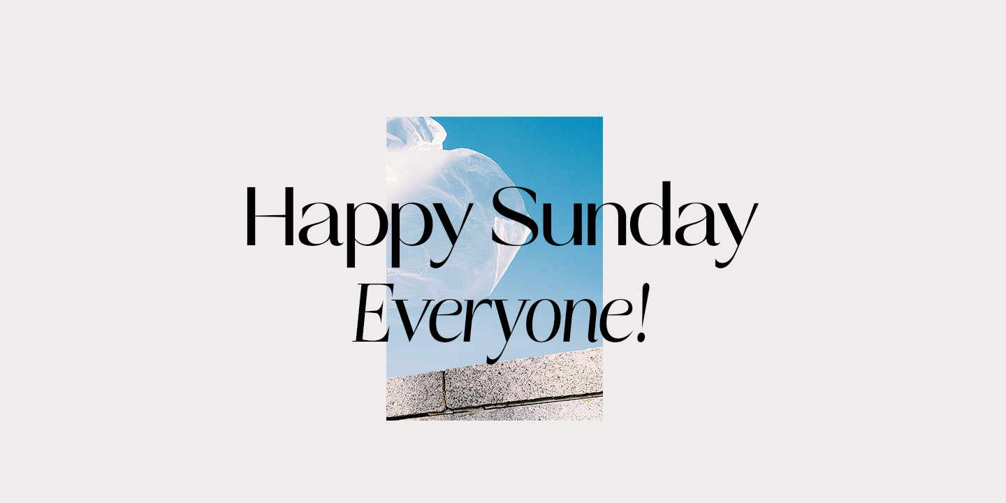 Talesha Font Family Poster