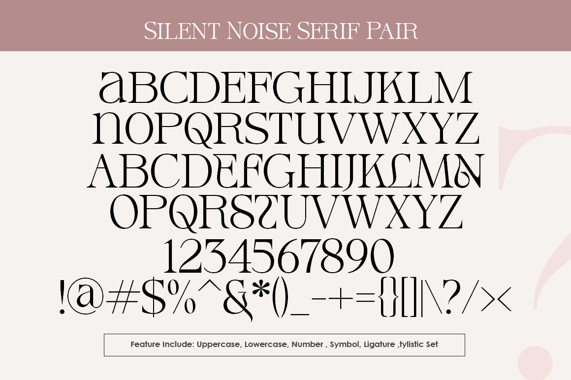 Silent Noise Font Poster #1