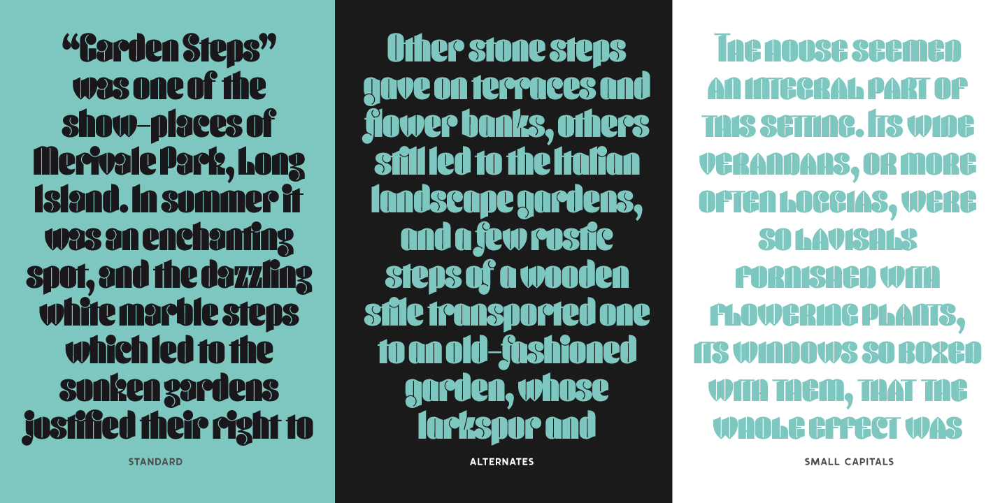 Conica Font Poster #1