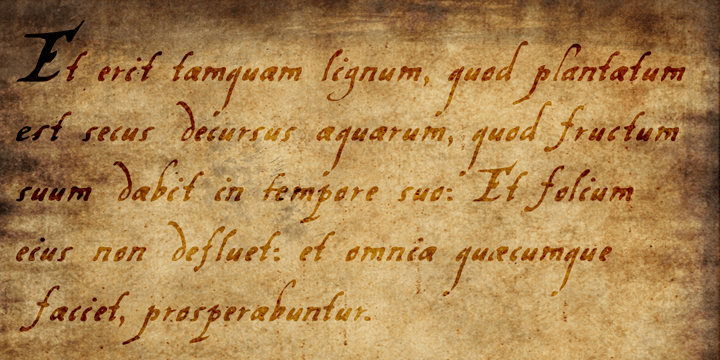 Vox Populi Font Poster #2