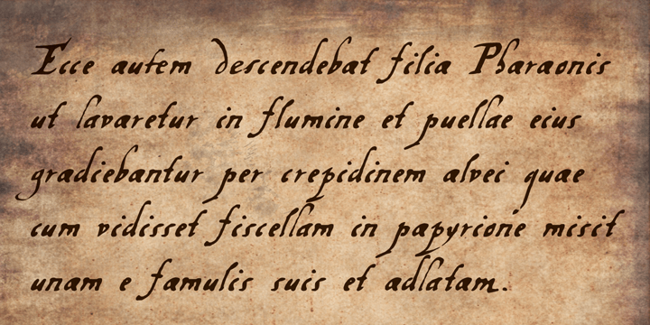 Vox Populi Font Poster #3