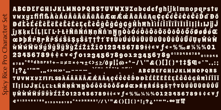 Spicy Rice Pro Font Poster #1