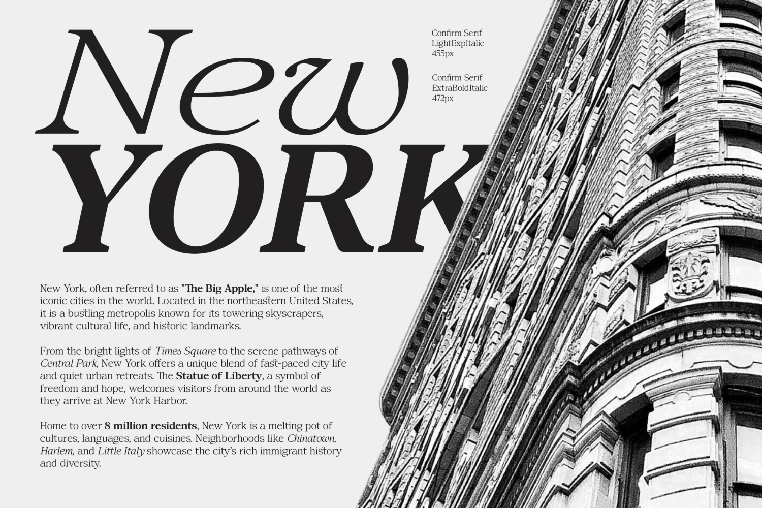 Confirm Serif Font Poster #1