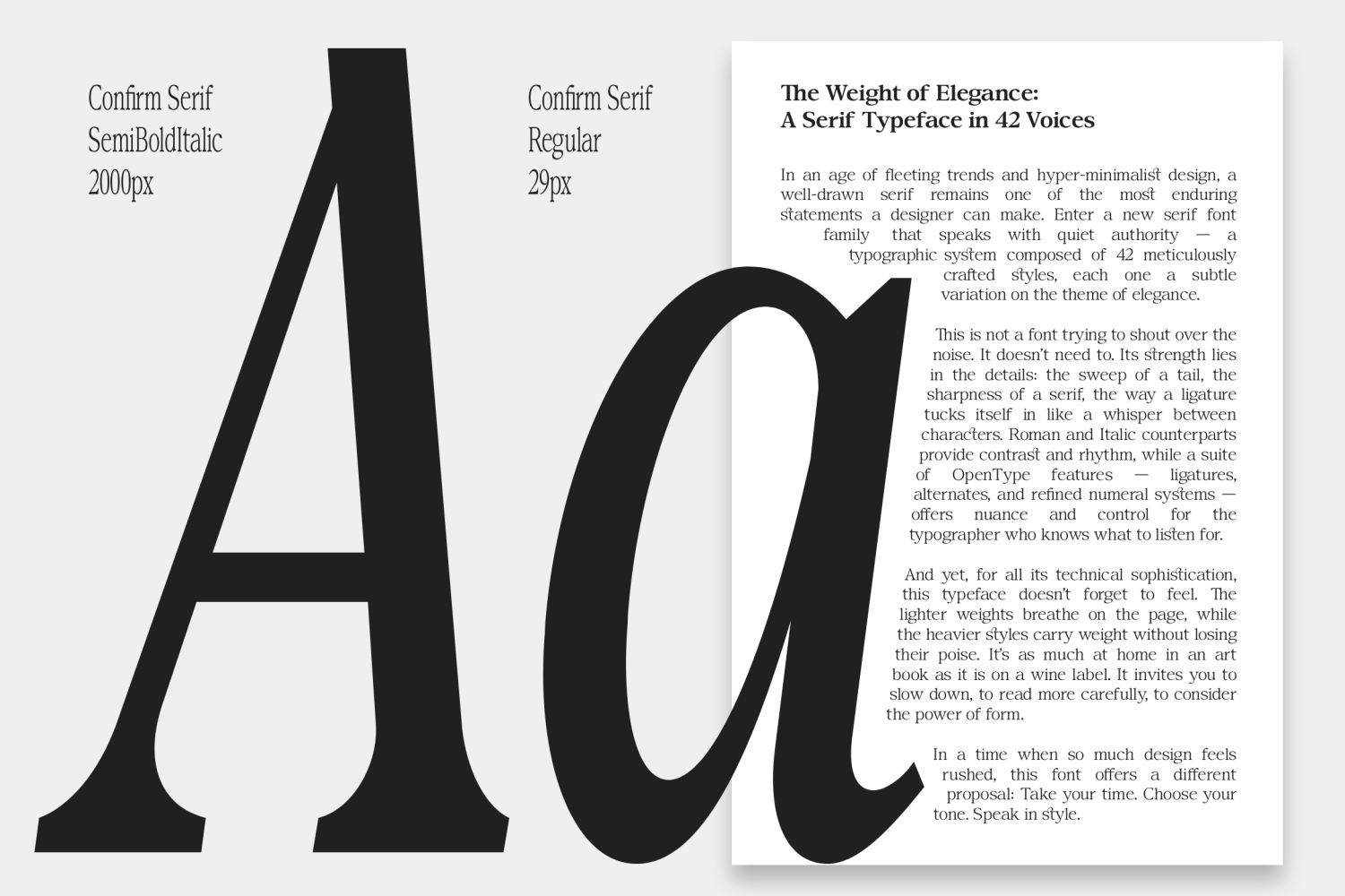 Confirm Serif Font Poster #1